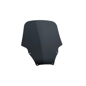 Windscreen Forza 125 2019-2020